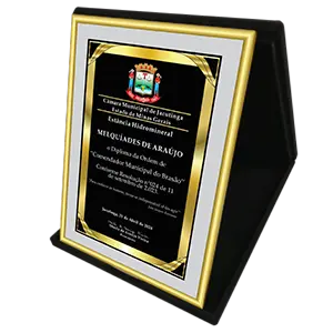 Placa de cidadão honorário – M16