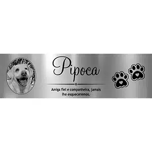 Placa túmulo cachorro gravada no aço inox